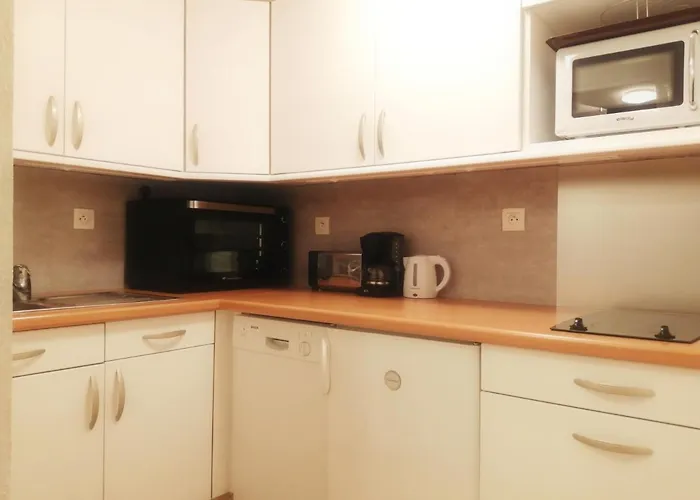 6/7 Personnes Pied Des Pistes A Plagne Centre